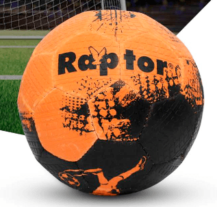 Raptor Street Soccer